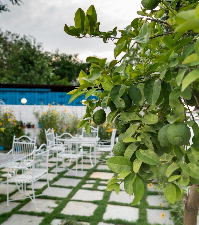 Amour By The Lake Udaipur Exterior photo